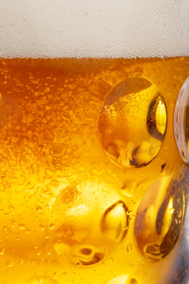 Rakovnický ležiak za studena chmelený - foto 4